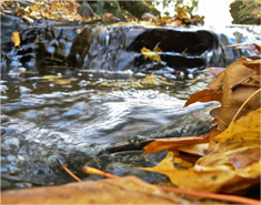 隐私安全无忧的DDOS测试